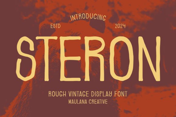 Steron: A Rugged Vintage Sans Serif for Digital Impact